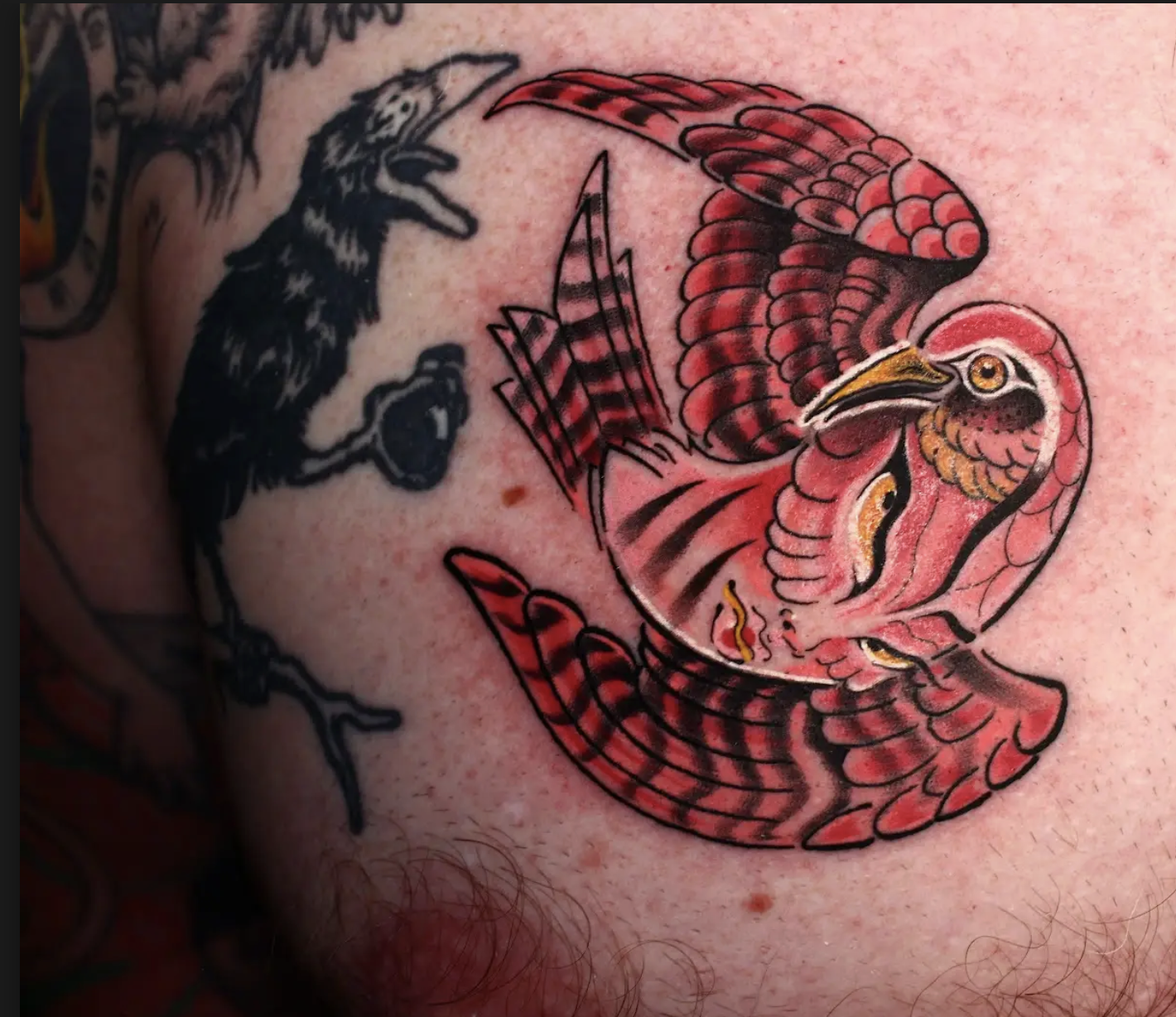 Neo-Trad Cardinal